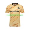 Feyenoord Rotterdam Vierde Shirt 2024-25
